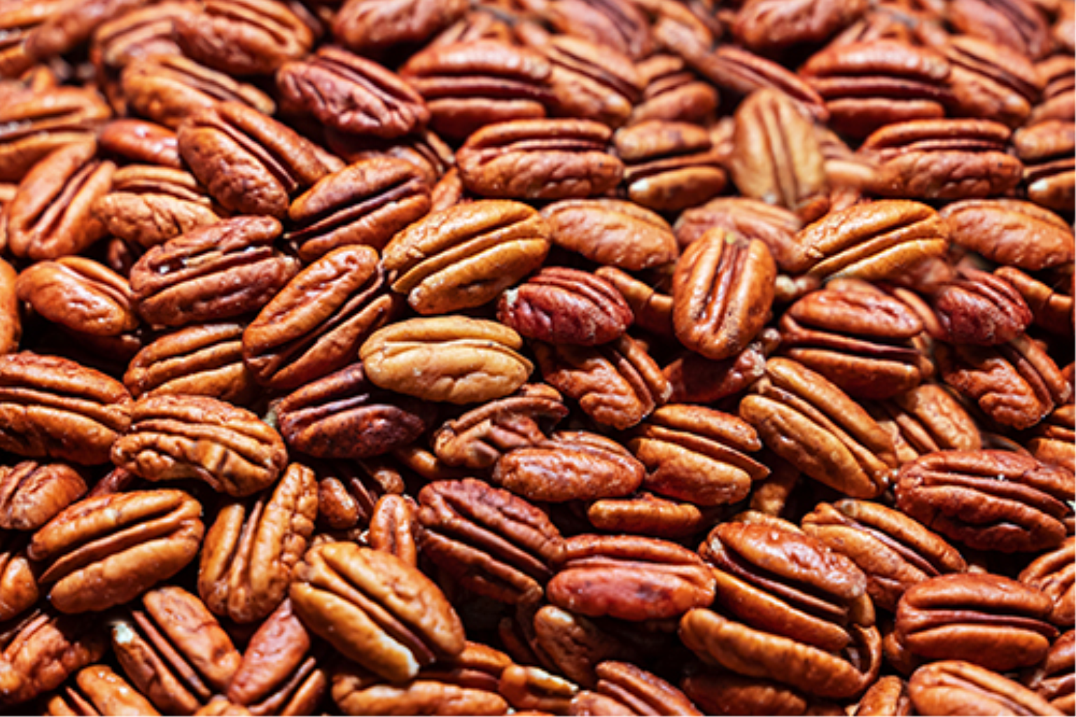 NUECES PECANAS 1/4LB
